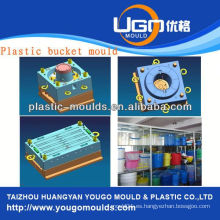 La inyección plástica lleva molde de la cesta molde de la inyección de la inyección en taizhou zhejiang China